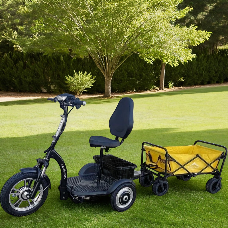 Электротрицикл HEADWAY LUX DUAL TR 700W Электротрицикл HEADWAY LUX DUAL TR 700W