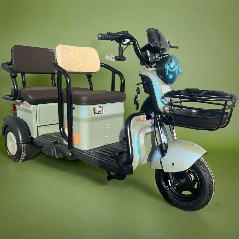 Электротрицикл ProTrike Караван М Электротрицикл ProTrike Караван М