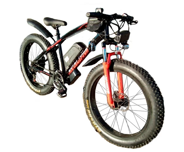 Электровелосипед Electrofatbike Electrofat RX-500 500W 48V/8Ah Электровелосипед Electrofatbike Electrofat RX-500 500W 48V/8Ah